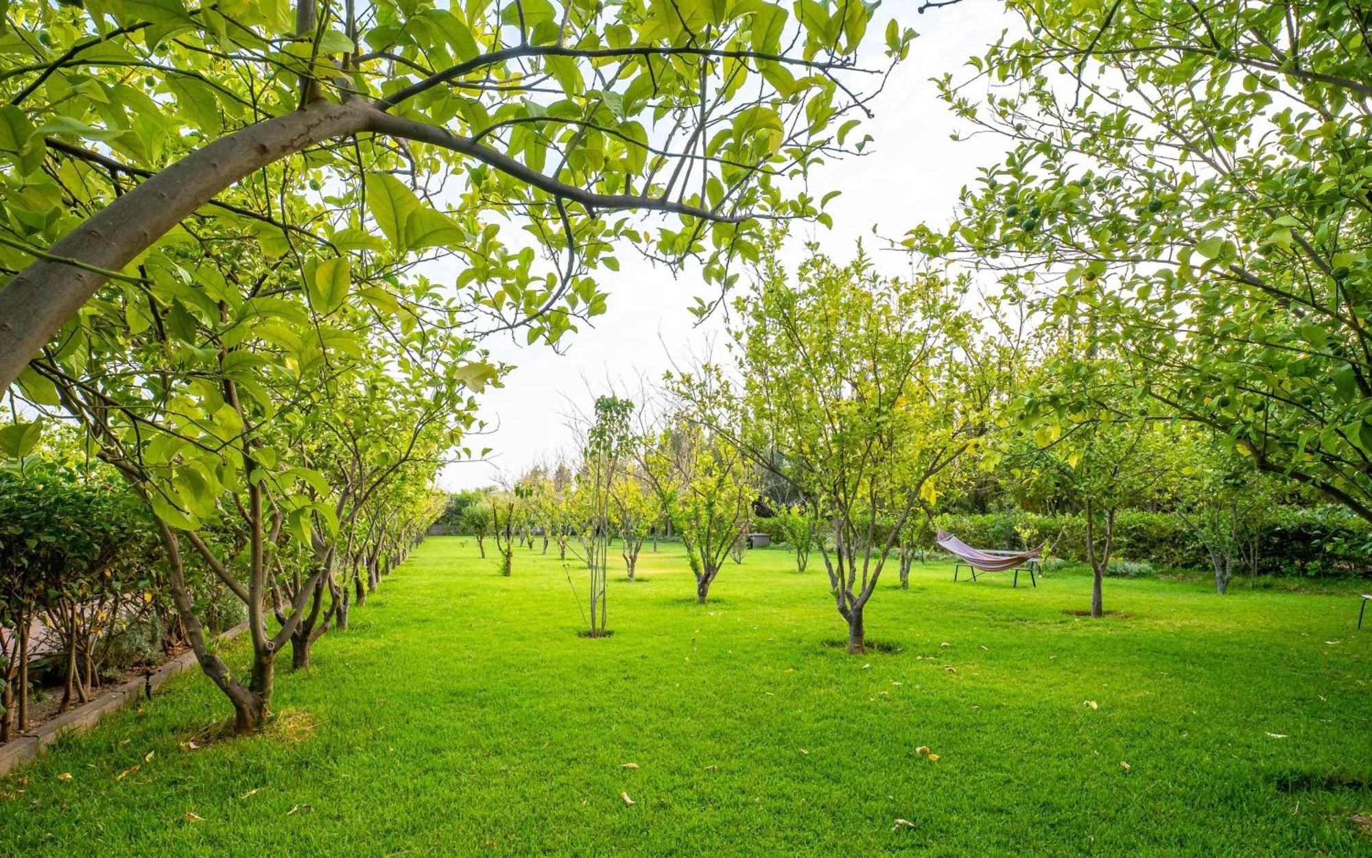 The Lemonary Marrakech Hotel Ouled Moumen Ngoại thất bức ảnh