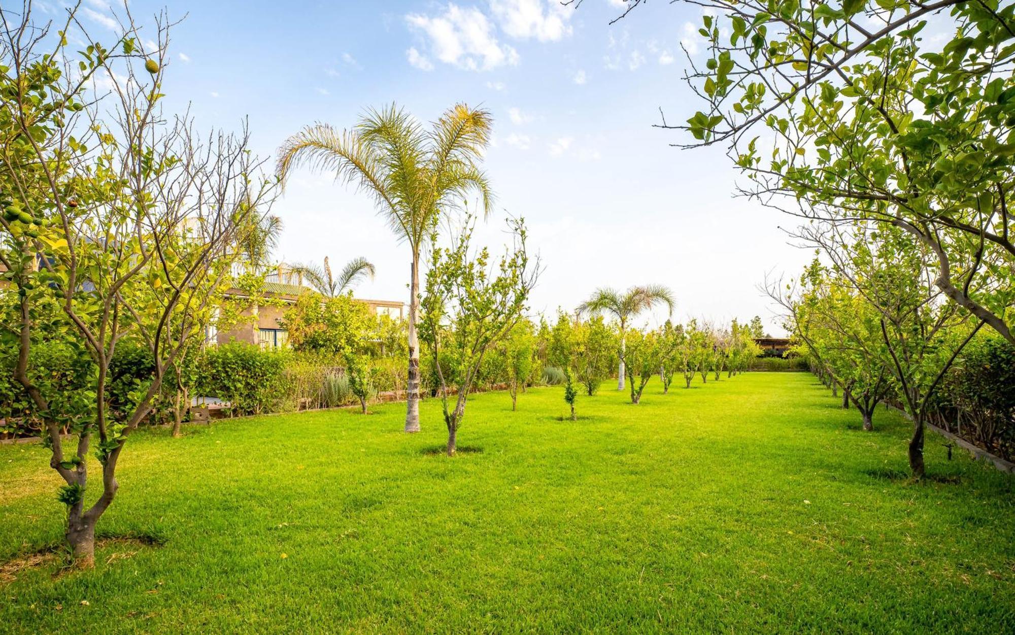 The Lemonary Marrakech Hotel Ouled Moumen Ngoại thất bức ảnh