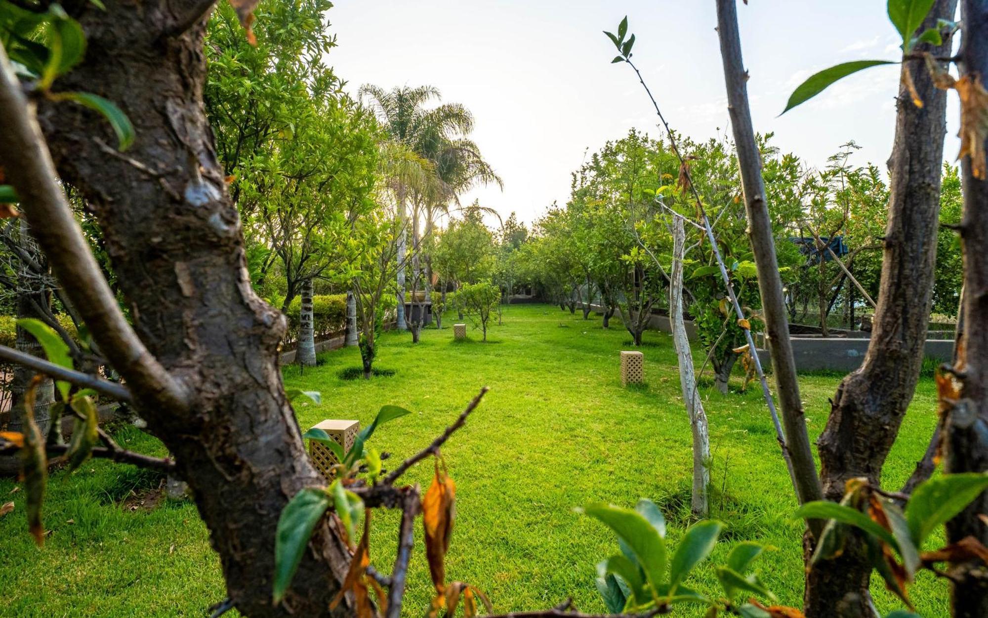 The Lemonary Marrakech Hotel Ouled Moumen Ngoại thất bức ảnh