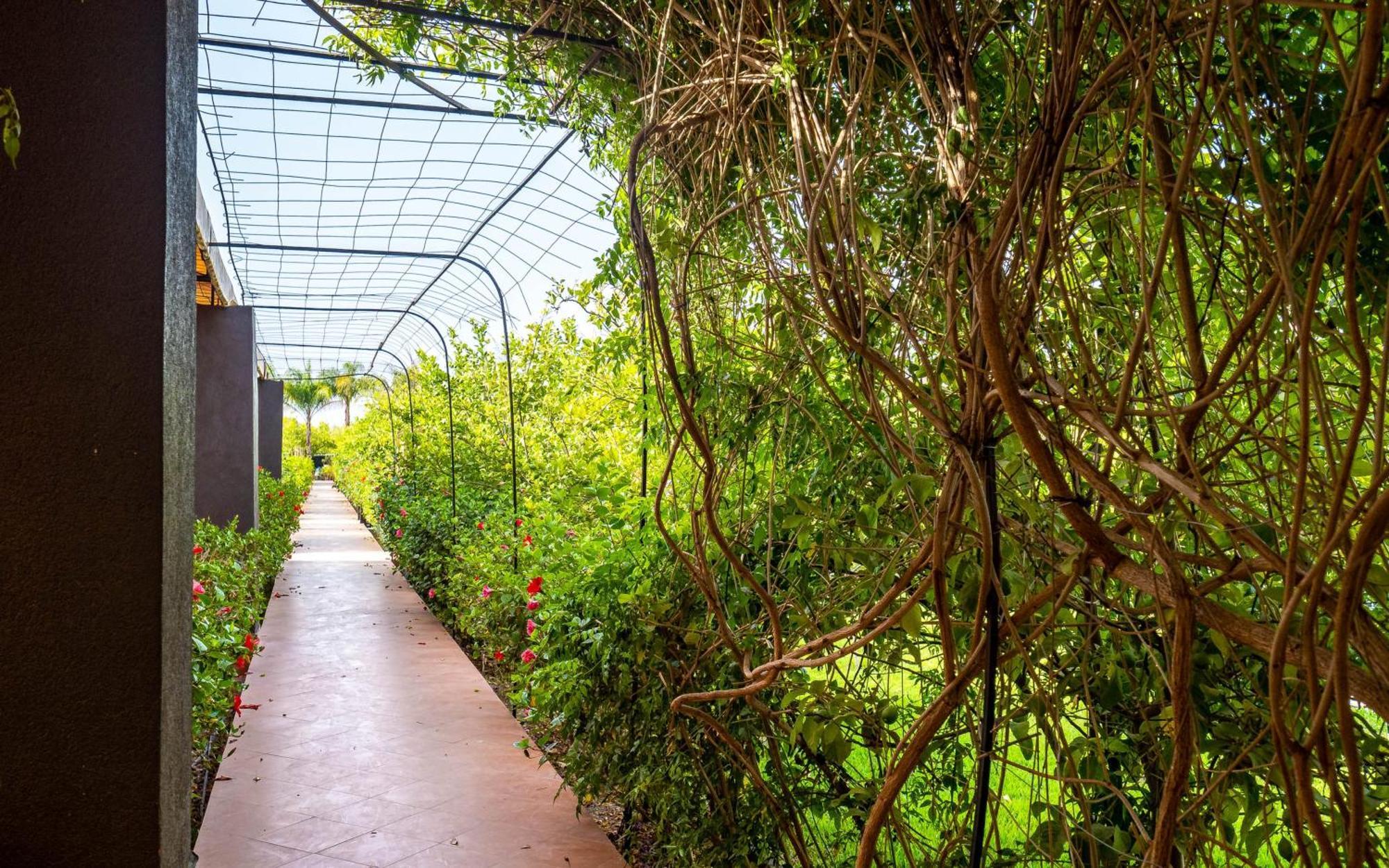 The Lemonary Marrakech Hotel Ouled Moumen Ngoại thất bức ảnh