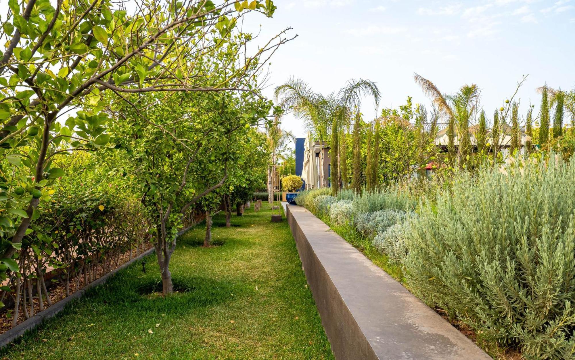 The Lemonary Marrakech Hotel Ouled Moumen Ngoại thất bức ảnh