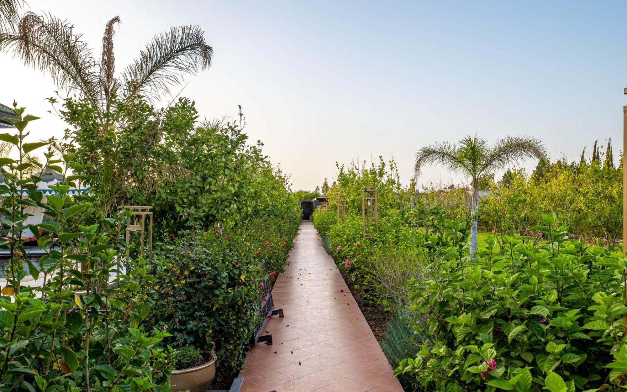 The Lemonary Marrakech Hotel Ouled Moumen Ngoại thất bức ảnh