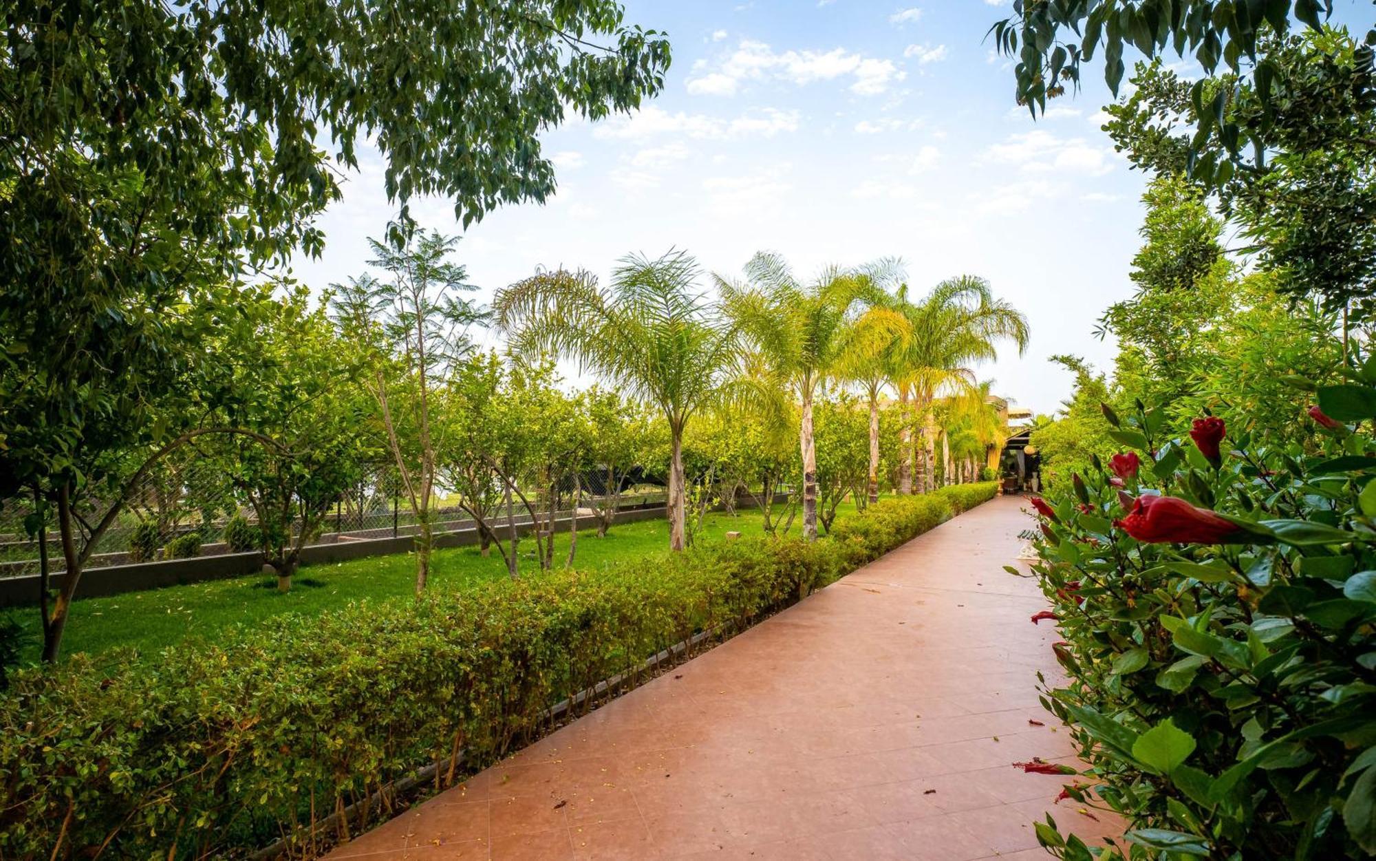 The Lemonary Marrakech Hotel Ouled Moumen Ngoại thất bức ảnh