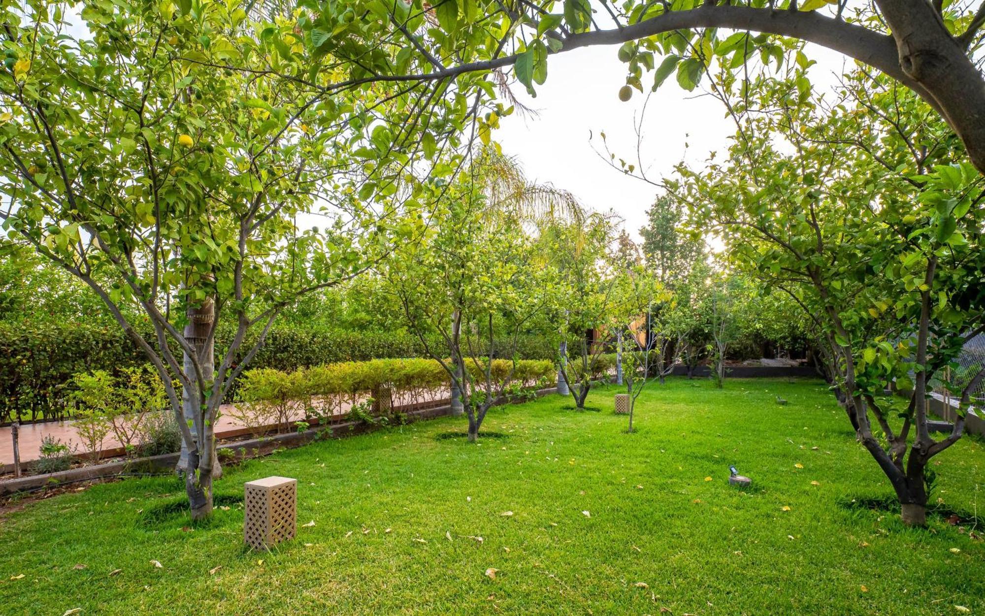 The Lemonary Marrakech Hotel Ouled Moumen Ngoại thất bức ảnh
