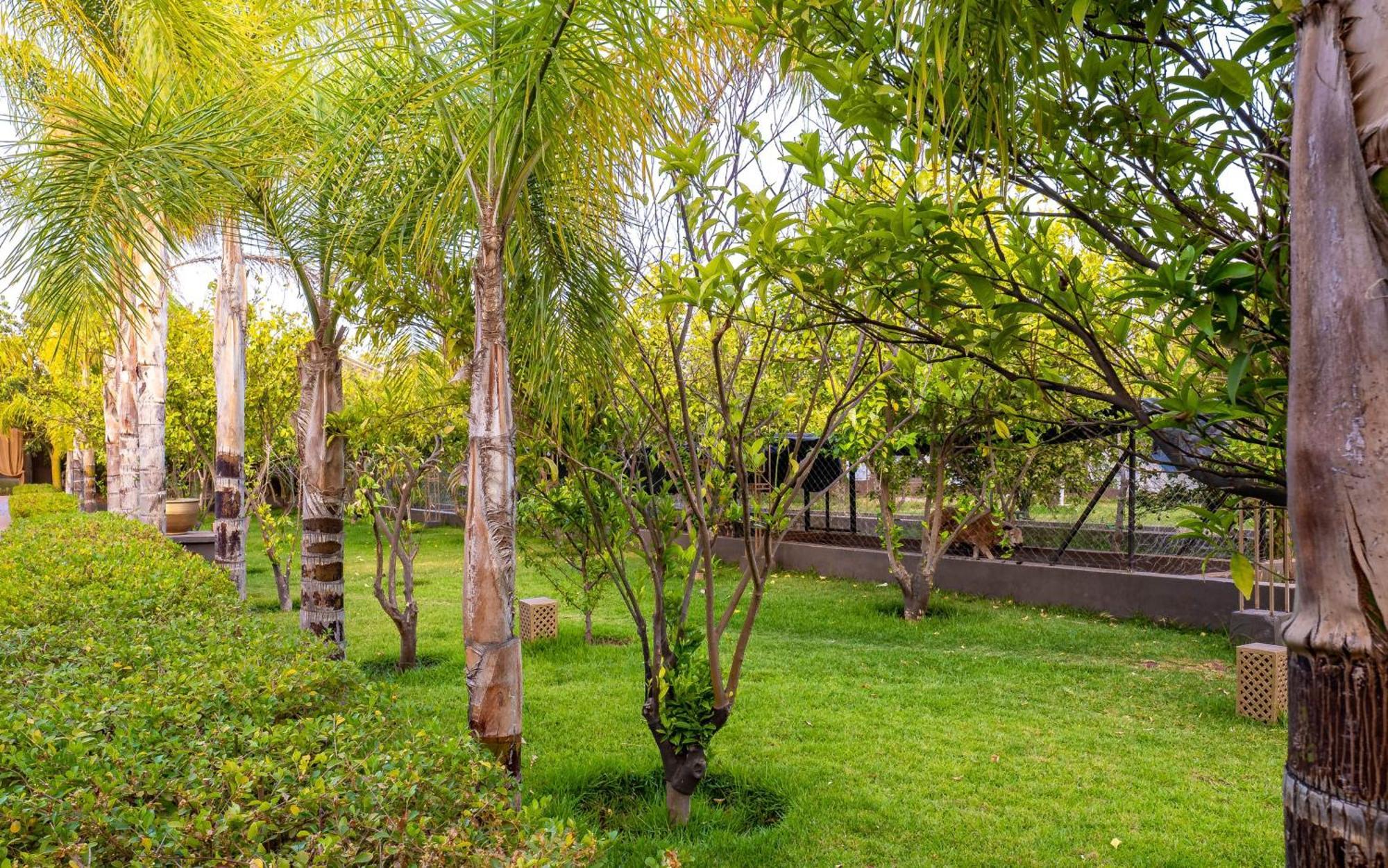 The Lemonary Marrakech Hotel Ouled Moumen Ngoại thất bức ảnh